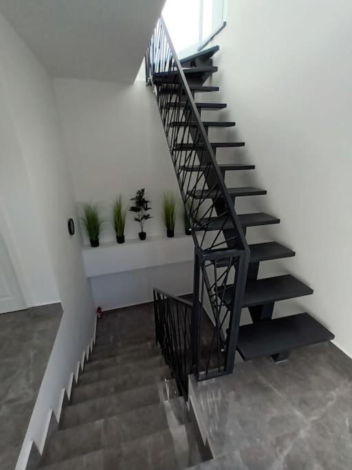 Old Town Studio 1 Apartment Nr 1 Baia Mare Eksteriør bilde
