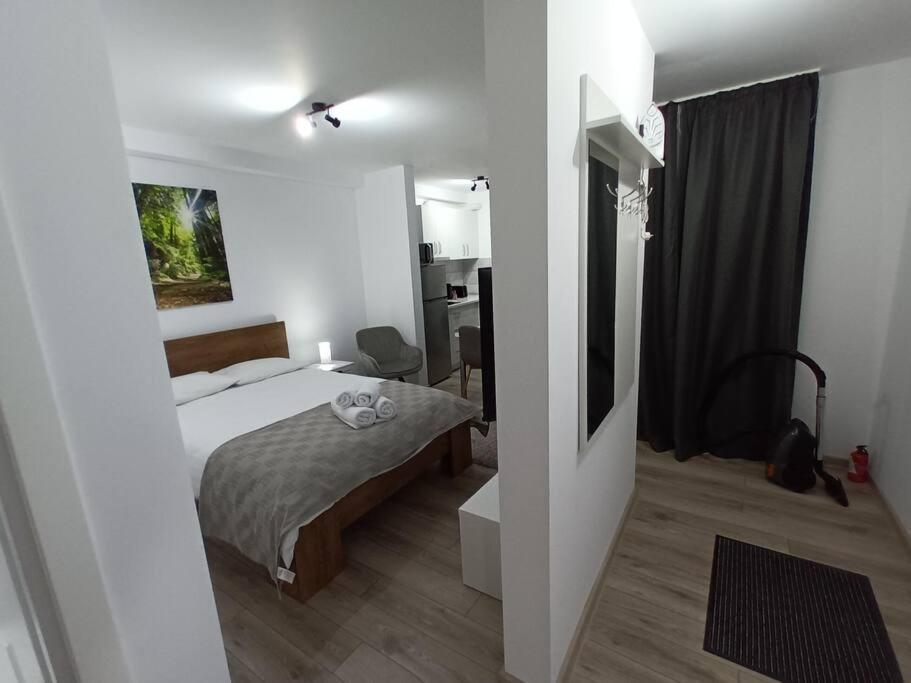 Old Town Studio 1 Apartment Nr 1 Baia Mare Eksteriør bilde
