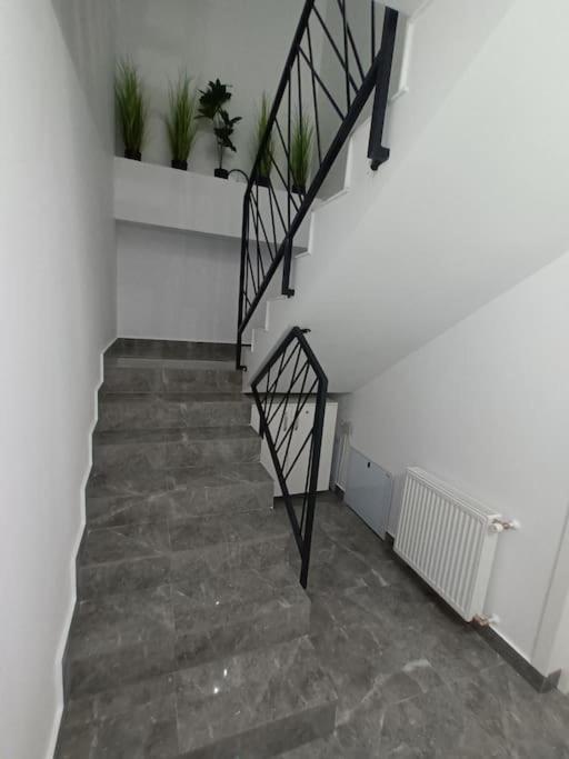 Old Town Studio 1 Apartment Nr 1 Baia Mare Eksteriør bilde