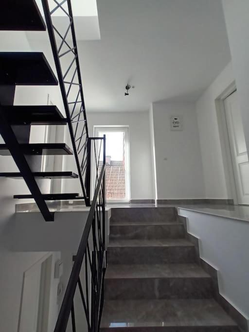 Old Town Studio 1 Apartment Nr 1 Baia Mare Eksteriør bilde