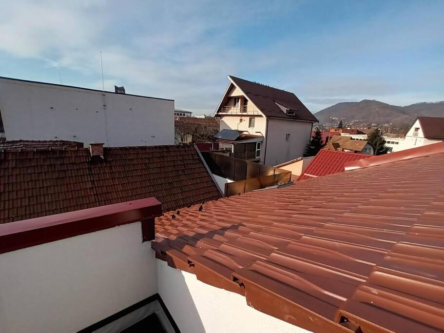 Old Town Studio 1 Apartment Nr 1 Baia Mare Eksteriør bilde