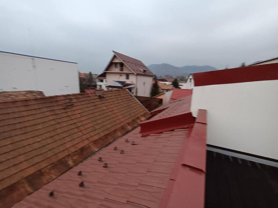 Old Town Studio 1 Apartment Nr 1 Baia Mare Eksteriør bilde