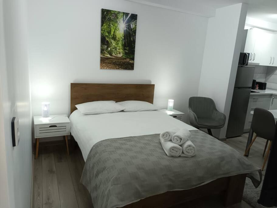 Old Town Studio 1 Apartment Nr 1 Baia Mare Eksteriør bilde