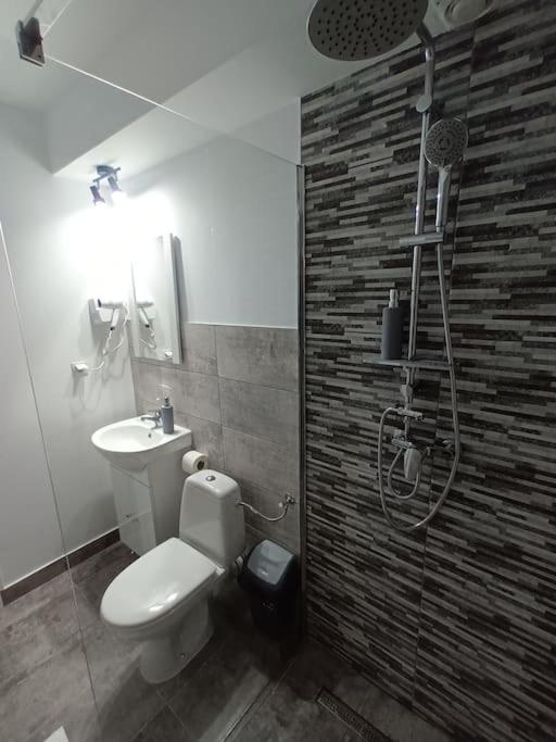 Old Town Studio 1 Apartment Nr 1 Baia Mare Eksteriør bilde
