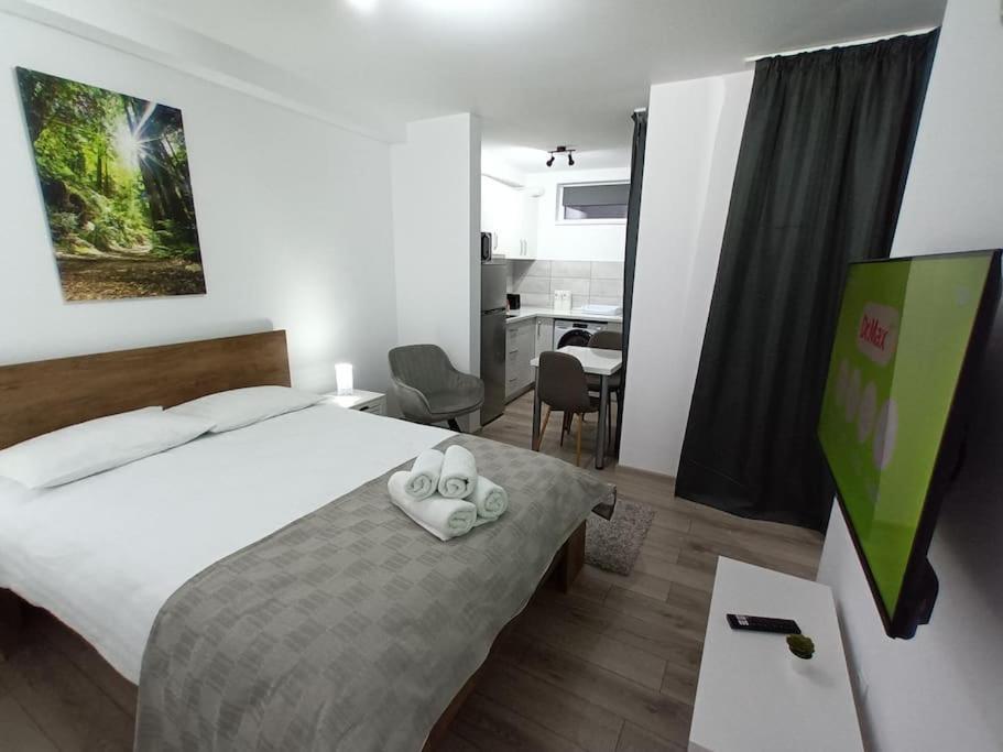Old Town Studio 1 Apartment Nr 1 Baia Mare Eksteriør bilde