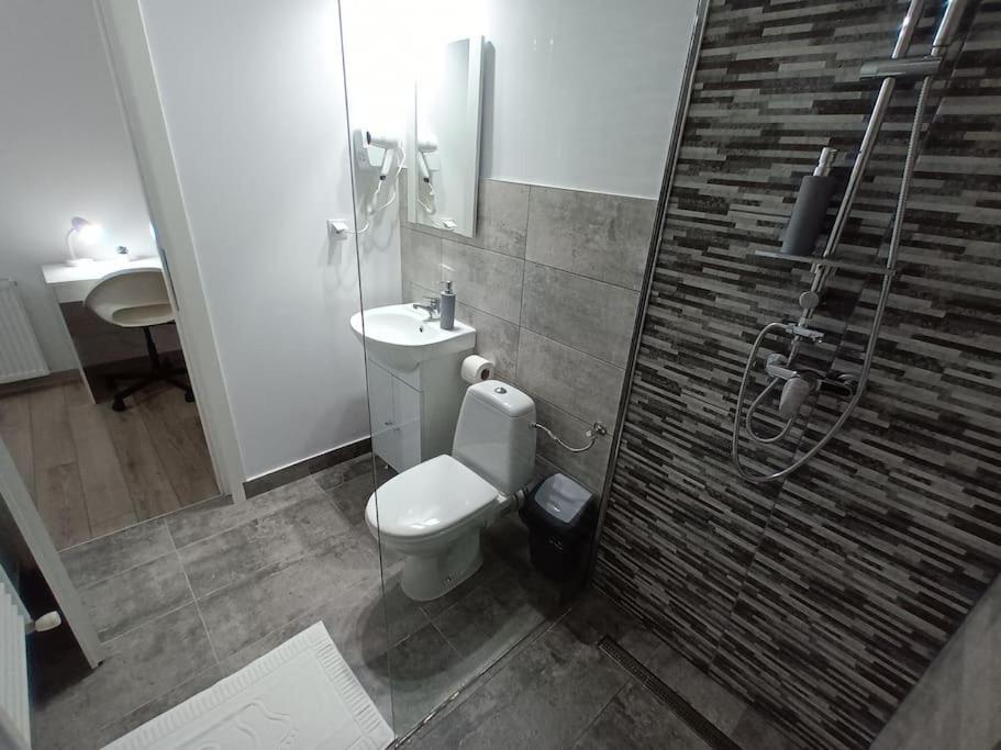 Old Town Studio 1 Apartment Nr 1 Baia Mare Eksteriør bilde